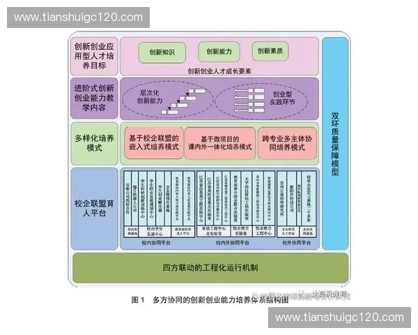 围绕专项指令优化执行路径与协同机制的系统化策略研究与实践探索